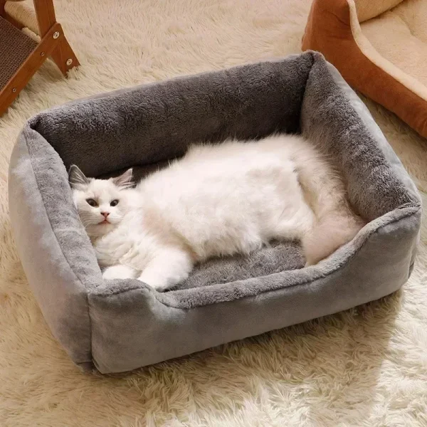 Bed for Cats Pet Products Cushions Kitten Goods Accessories Dog All Houses Supplies Things Accessory Habitats Basket House Beds - Image 3