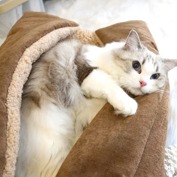Cats Bed for Winter Pet Fluffy Things Plush Houses Cartoon Beds Warm Dog Mat Kitten Products Habitats Basket Accessory Supplies - Image 5