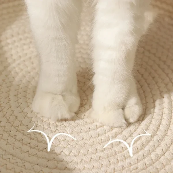 Kitten Summer Houses for Cats Accessories Things Bed Pet Products Dog Basket House Supplies Mat Beds Habitats Goods Cushions - Image 6