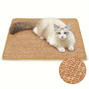 Pet Summer Supplies Kitten Goods for Cats Houses Cushions Puppy Bed Dog Basket Habitats Accessories Beds Accessory Things